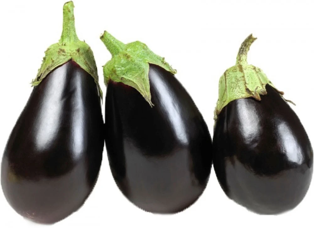 باذنجان اسود